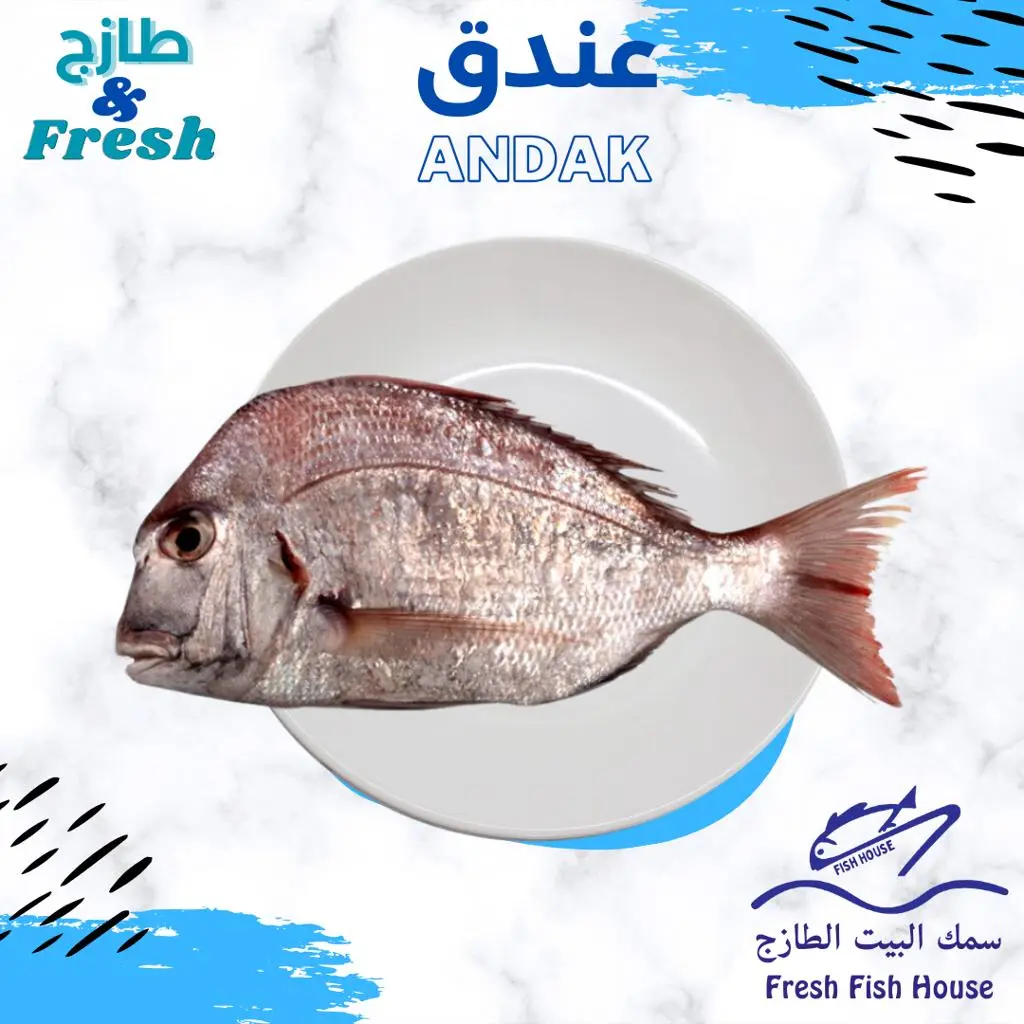 Andak Fish Meal